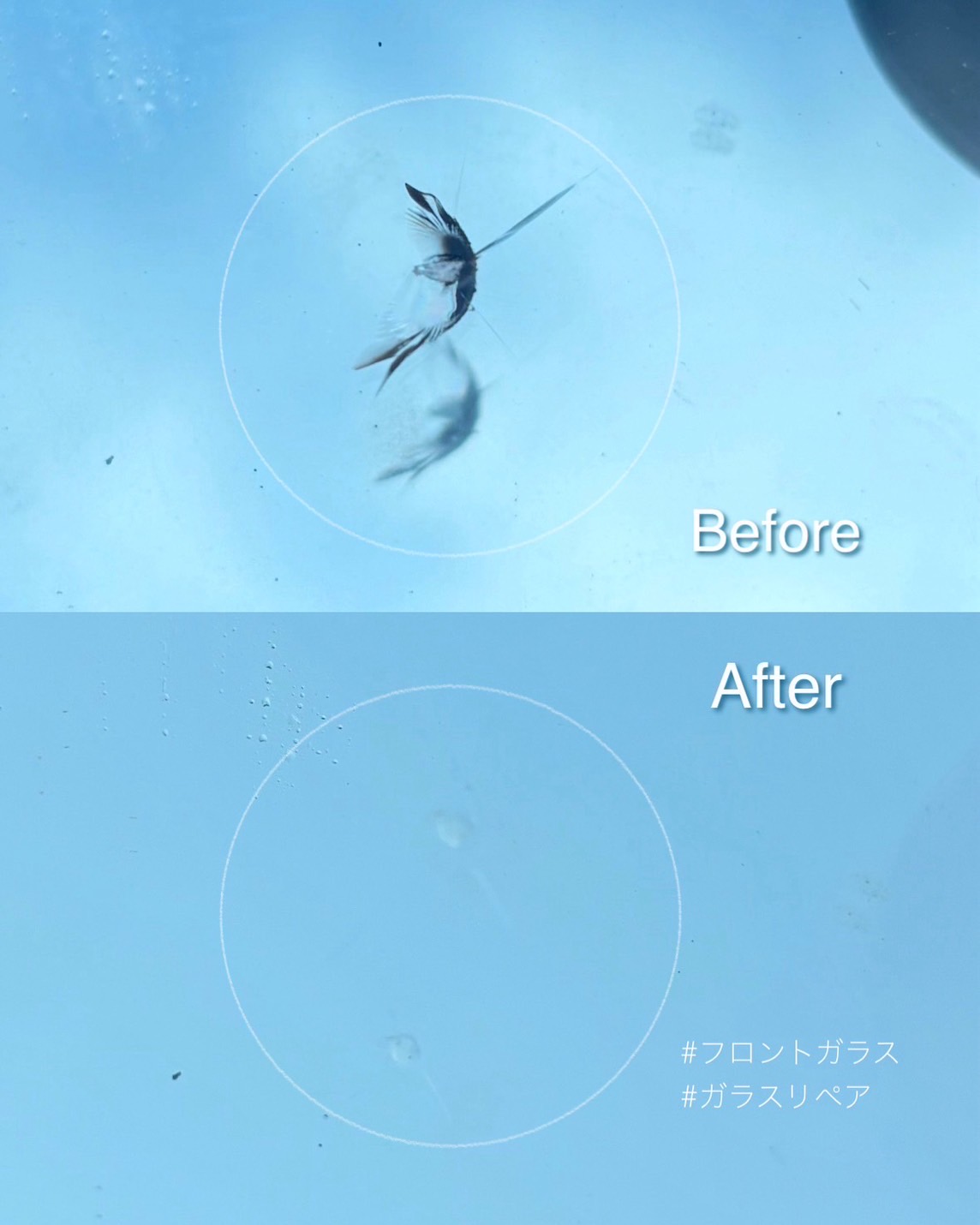 飛び石による小さなキズや割れなどにも対応して元通りにできるよう修理
